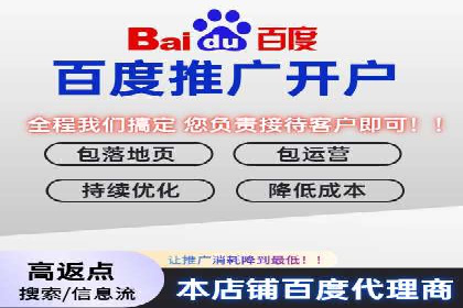 SEM代理服务：案例分享，效果显著
